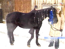 http://chelyabinsk.rfn.ru/rnews.html?id=35041